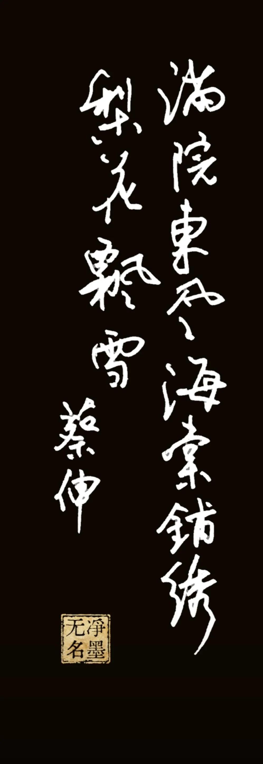 释文（竖排从右往左读）
**右列：**满院东风海棠铺绣
**左列：**梨花飘雪