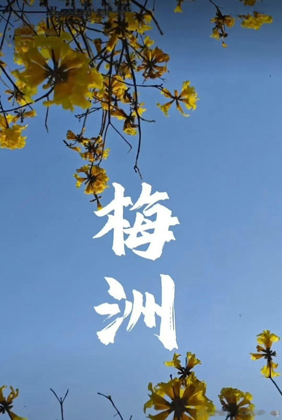 人民直击 诏安县梅洲乡道从竹林兜路口→→灵虹贸易有限公司→→金航水产有限公司周边
