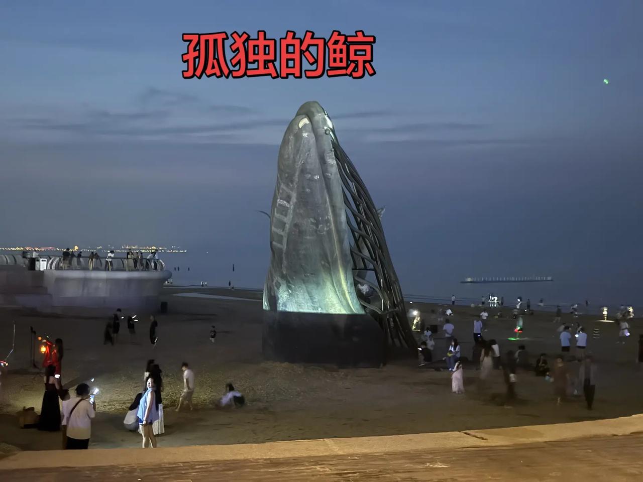 第一次来黄渤海新区看孤独的鲸，看到周围那么多市民和游客，突然感觉孤独的鲸并不孤独