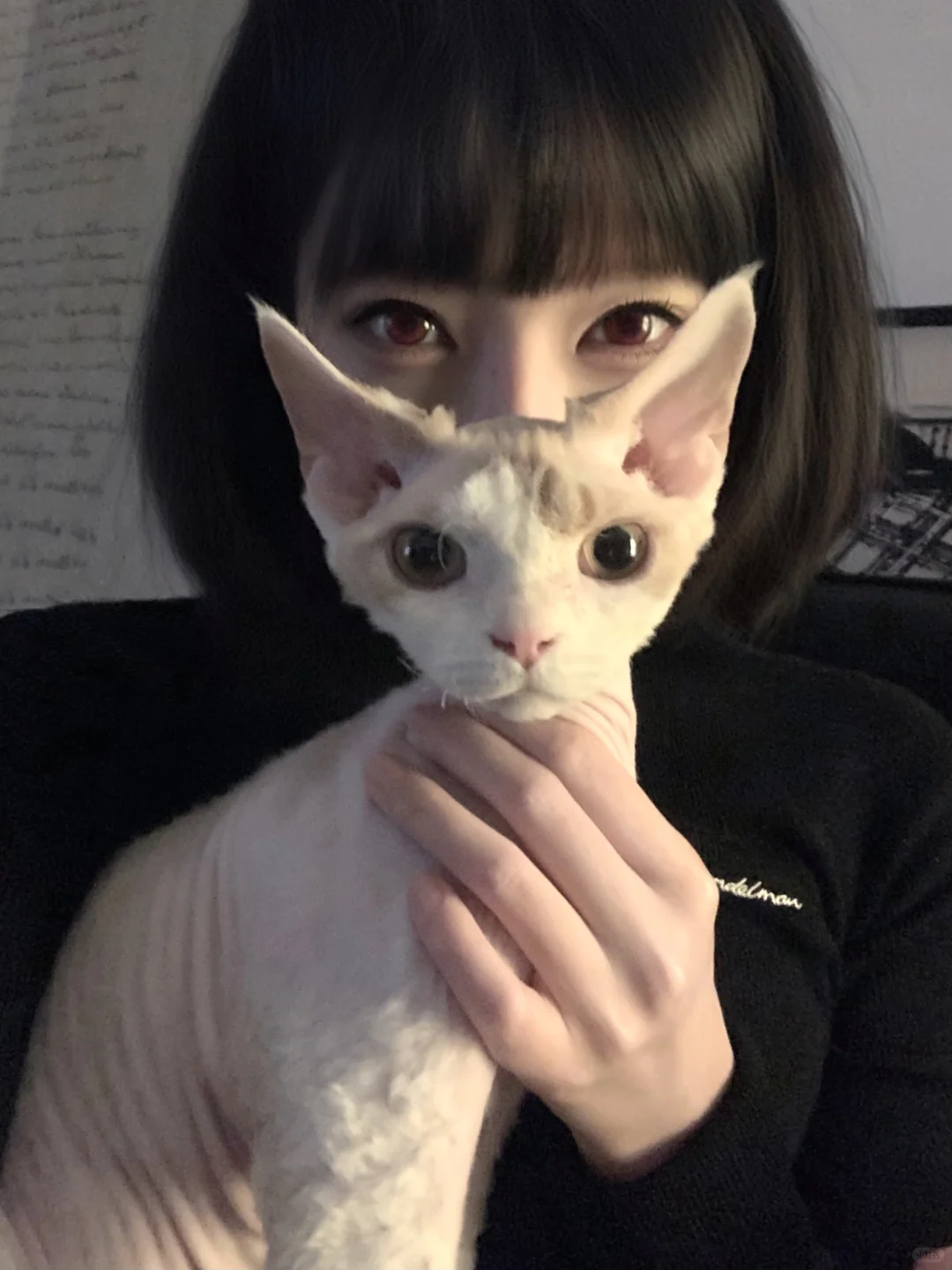 𝒘𝒆'𝒓𝒆 𝒘𝒂𝒕𝒄𝒉𝒊𝒏𝒈 𝒚𝒐𝒖
