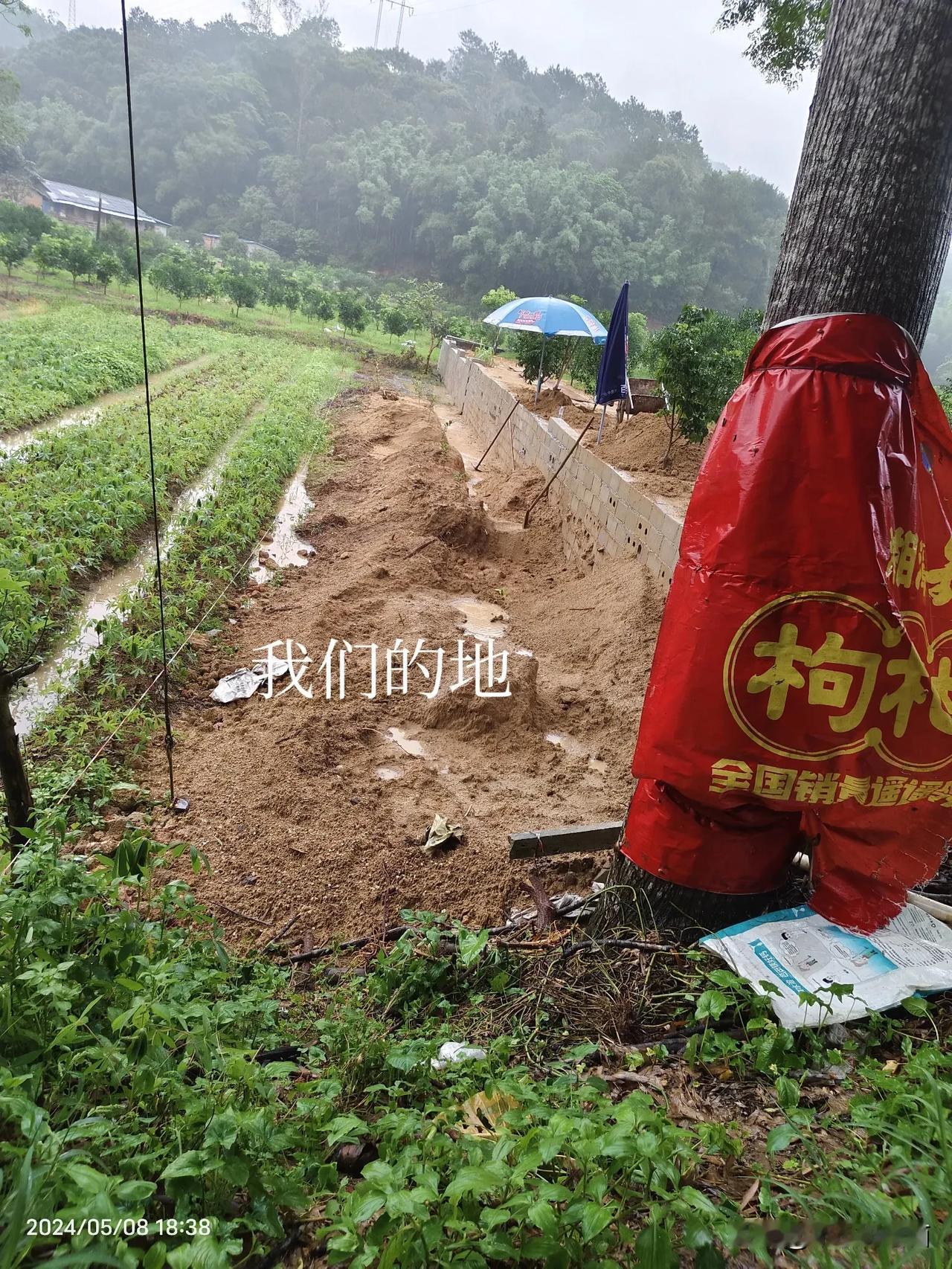 泥土堆放在我们地里已经好几年了，今年我们种了果树大概一个月左右吧，旁边的马上雇人