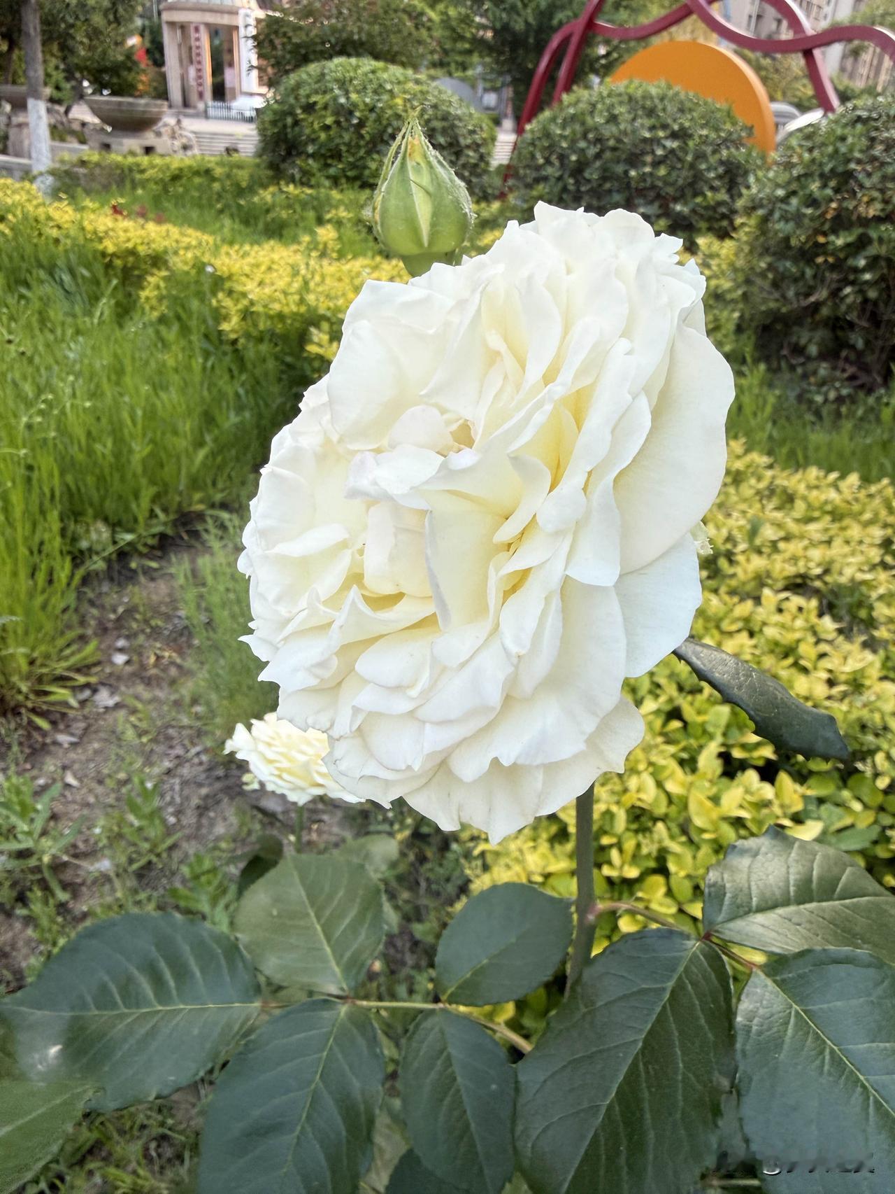 英国对世界和平有什么贡献?
【小对联】
上：……？
下：笑话。