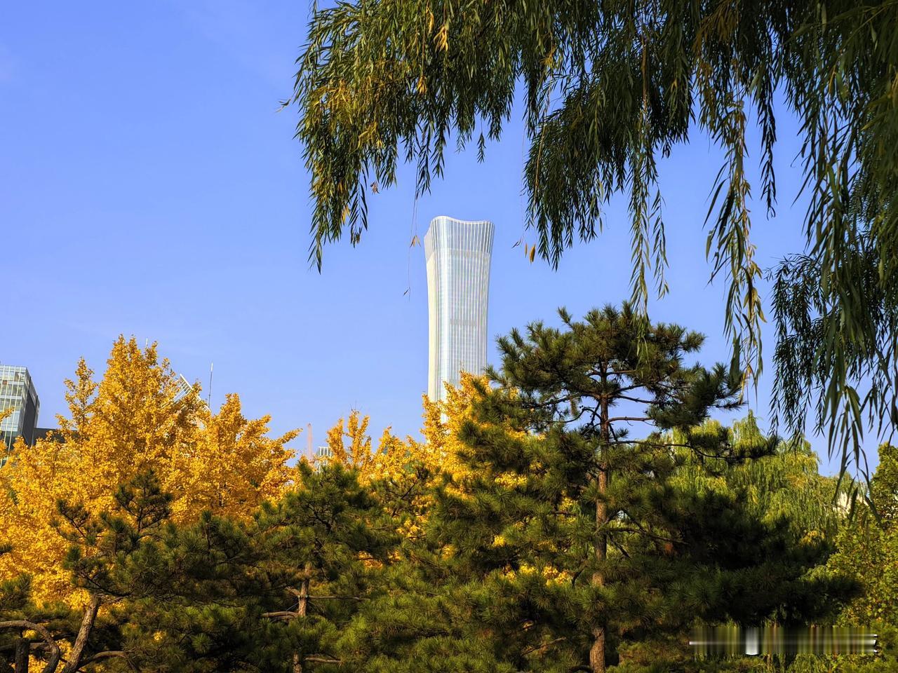 拍一张我的城市美景