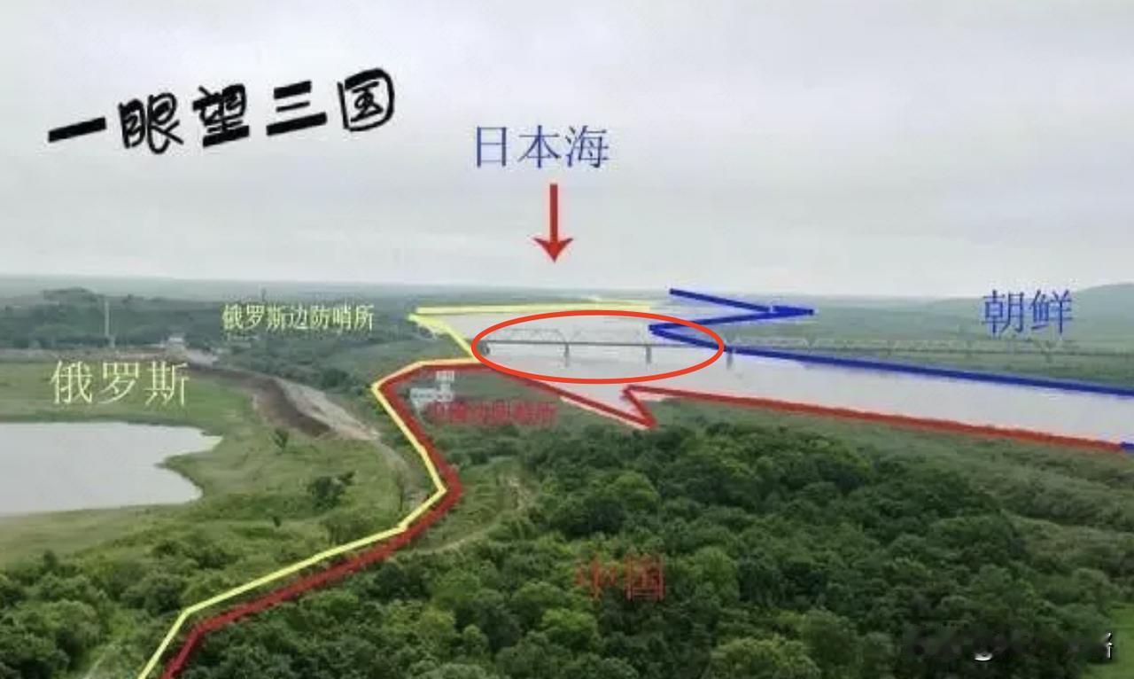 中俄建交75周年之际发表联合声明，于5月16日公布。其中，引起网民注意力的一条是