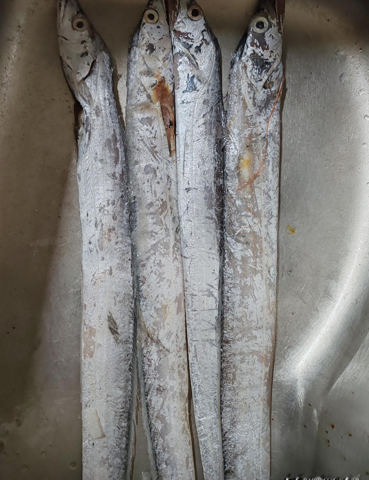 “15元两斤”的喇叭还在耳边响，扫码枪却啪一声：原价28。  
我指着冰柜上红得