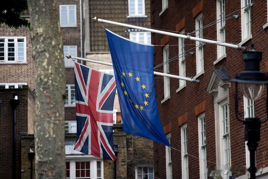越来越多英国人后悔脱欧：十年后现实与承诺的落差尽显

时光步入2026年，英国公