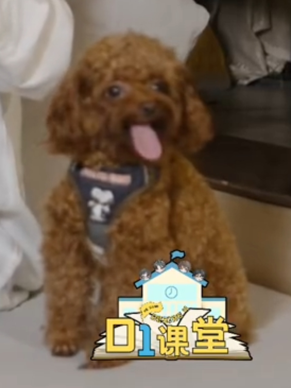 哎呀我乐乐哥🤏 ​​​