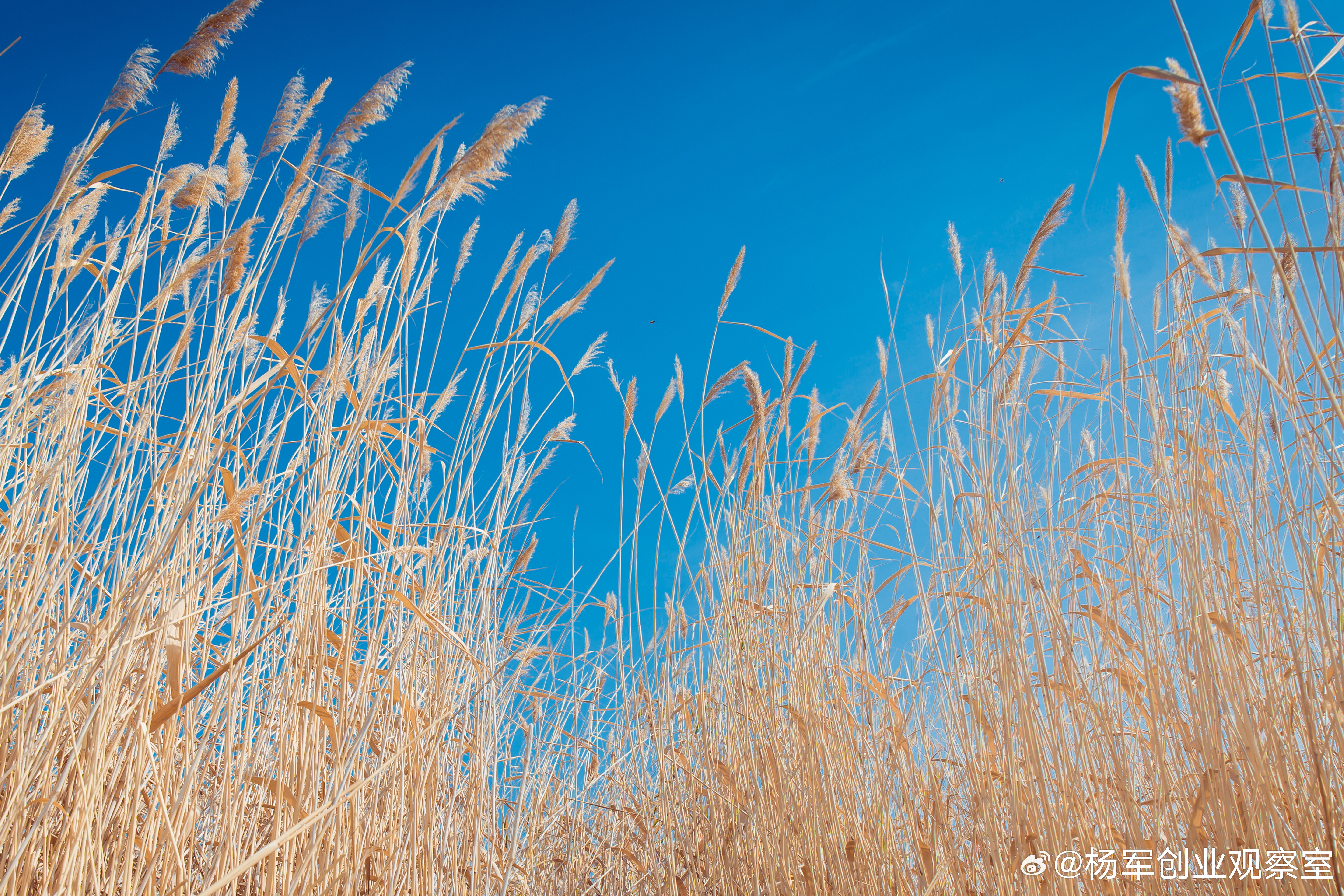 杨老师，现在我们这样的互联网项目还能融到资吗？目前创投募资端、投资端、退出端规模