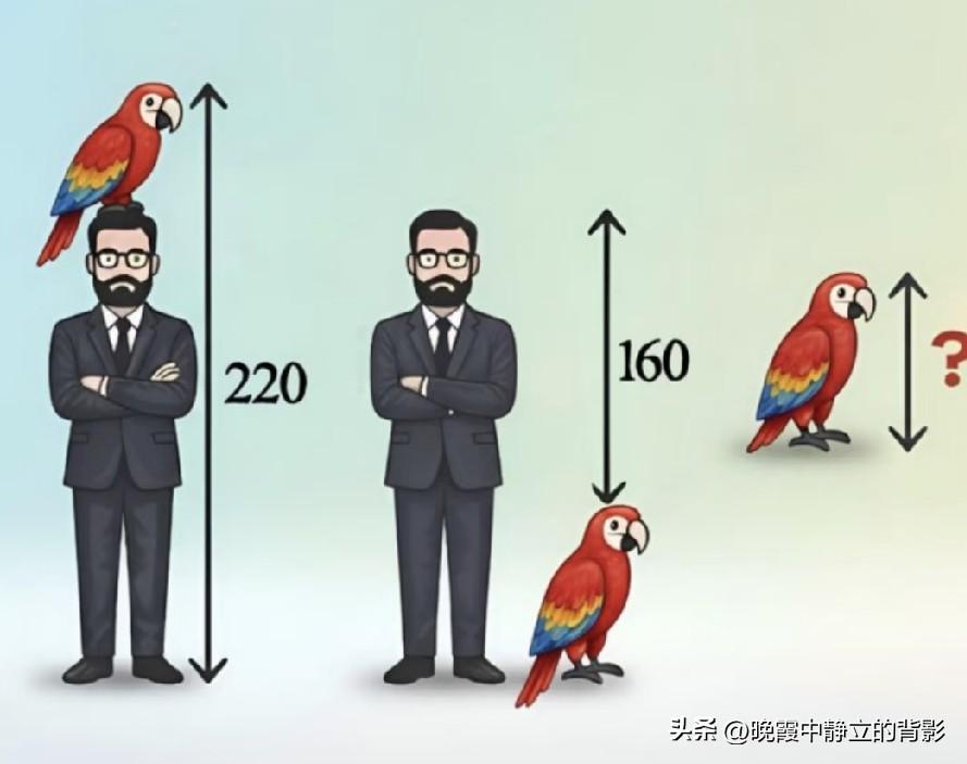  趣味看图计算题，人加鹦鹉高220，人减鹦鹉高160，鹦鹉身高到底多少厘米？🤔