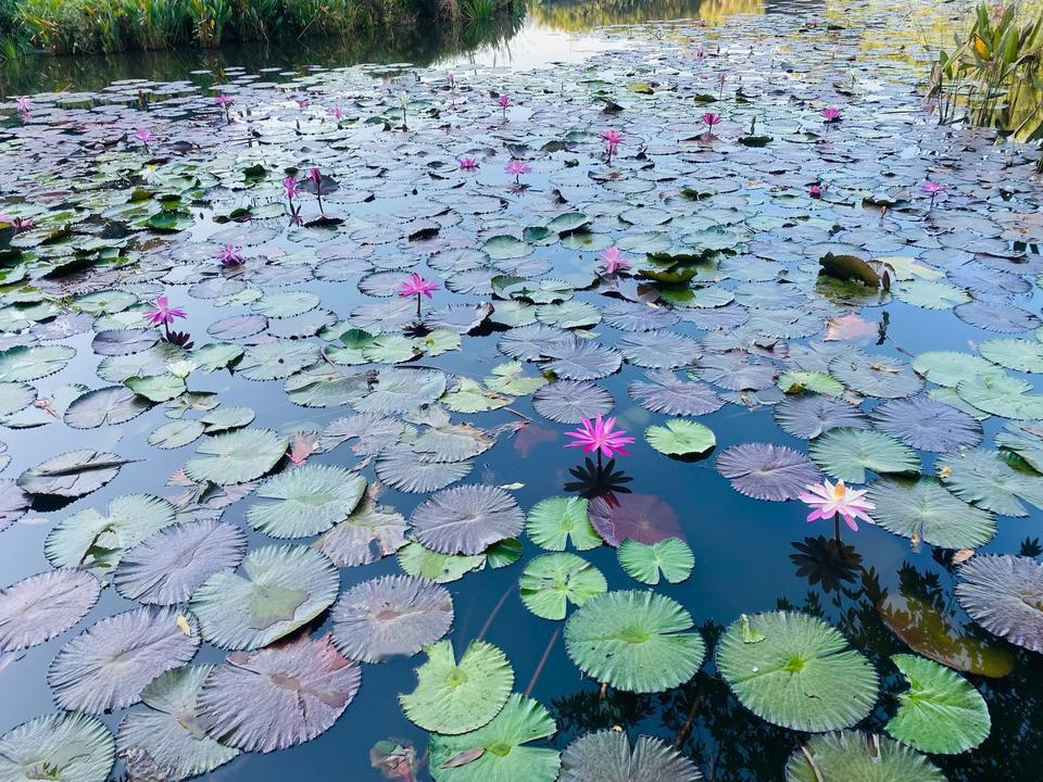 分享一下你随手拍下的照片