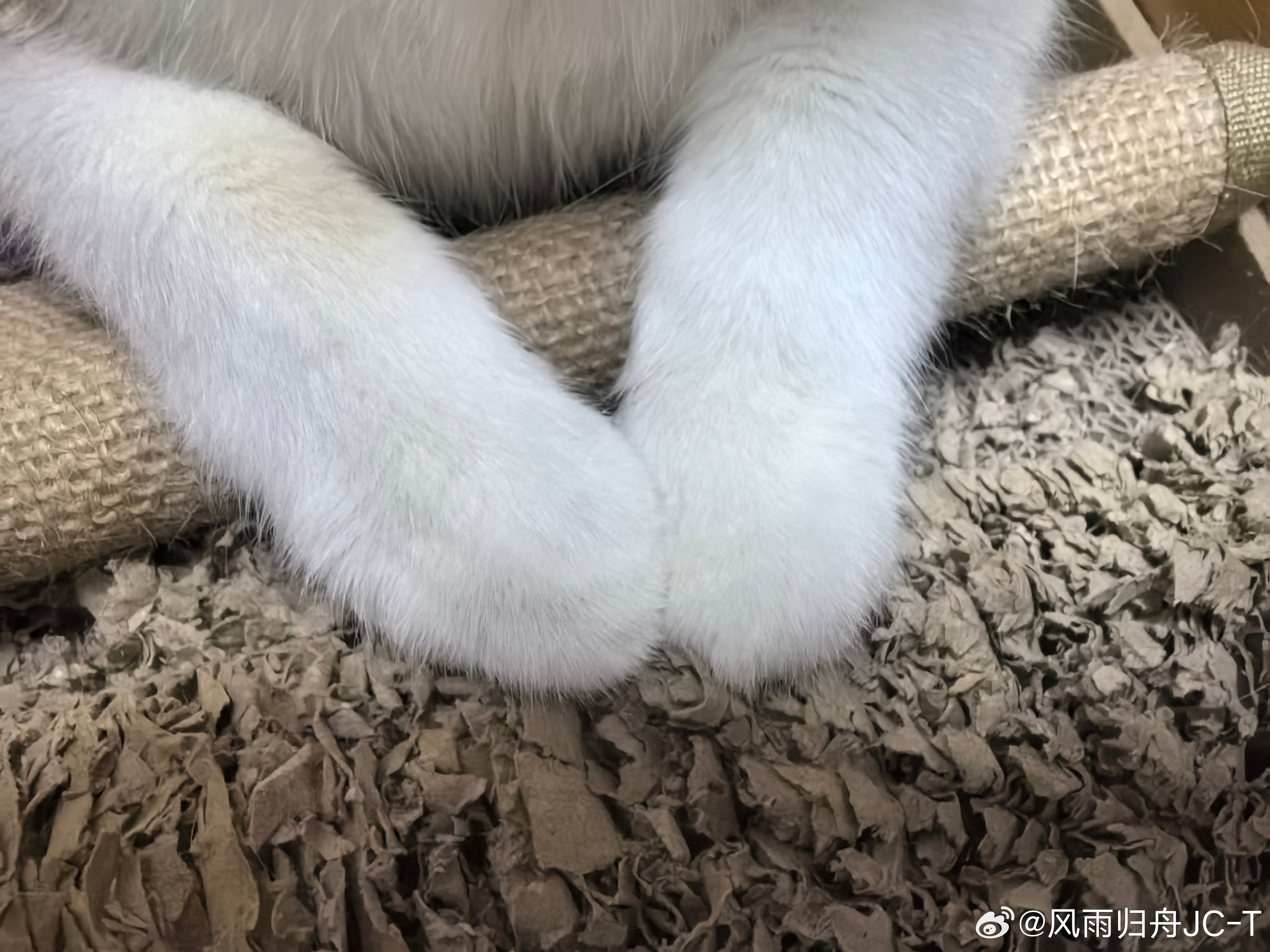 现在什么大促我已经不敢随便迈东西了，好怕檀健次就又给代言了，毕竟，我的生活已经快