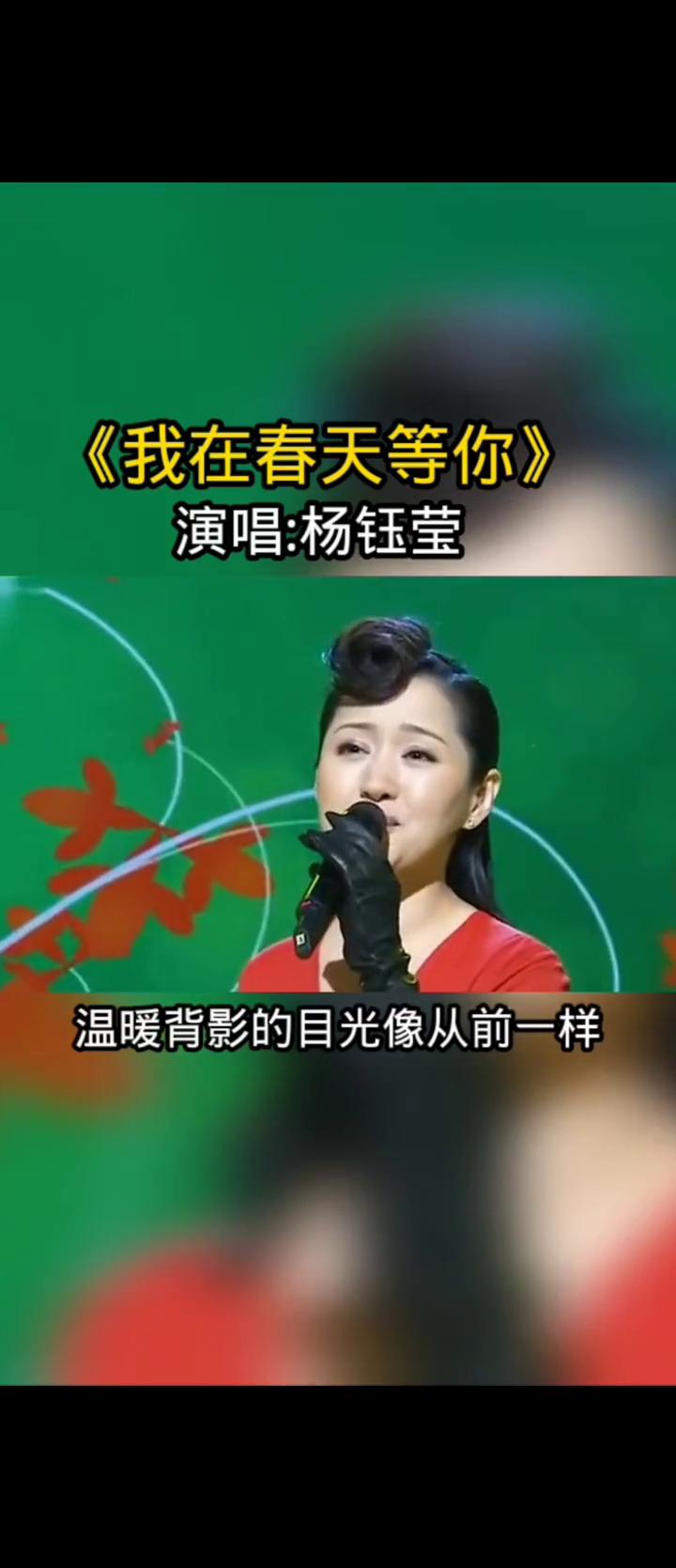《我在春天等你》演唱：杨钰莹。
轻轻的风轻轻摇动了梦想，悄悄转身悄悄流泪的脸庞，