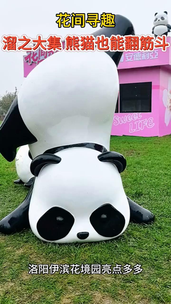 花间寻趣，溜之大集熊猫也能翻筋斗。
洛阳伊滨花境园亮点多多。
