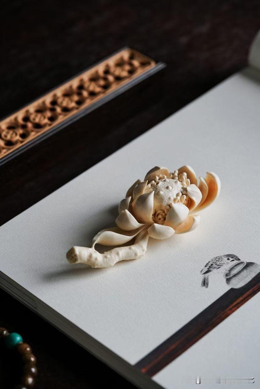 【猛犸｜莲花】

有些作品，不必繁复。
只一朵莲，便足够让人安静下来。

以猛犸