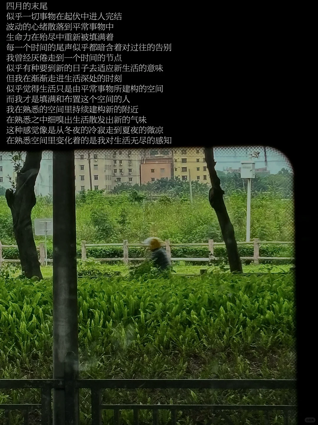 观影、阅读、思考，一切事物在起伏中进入完结