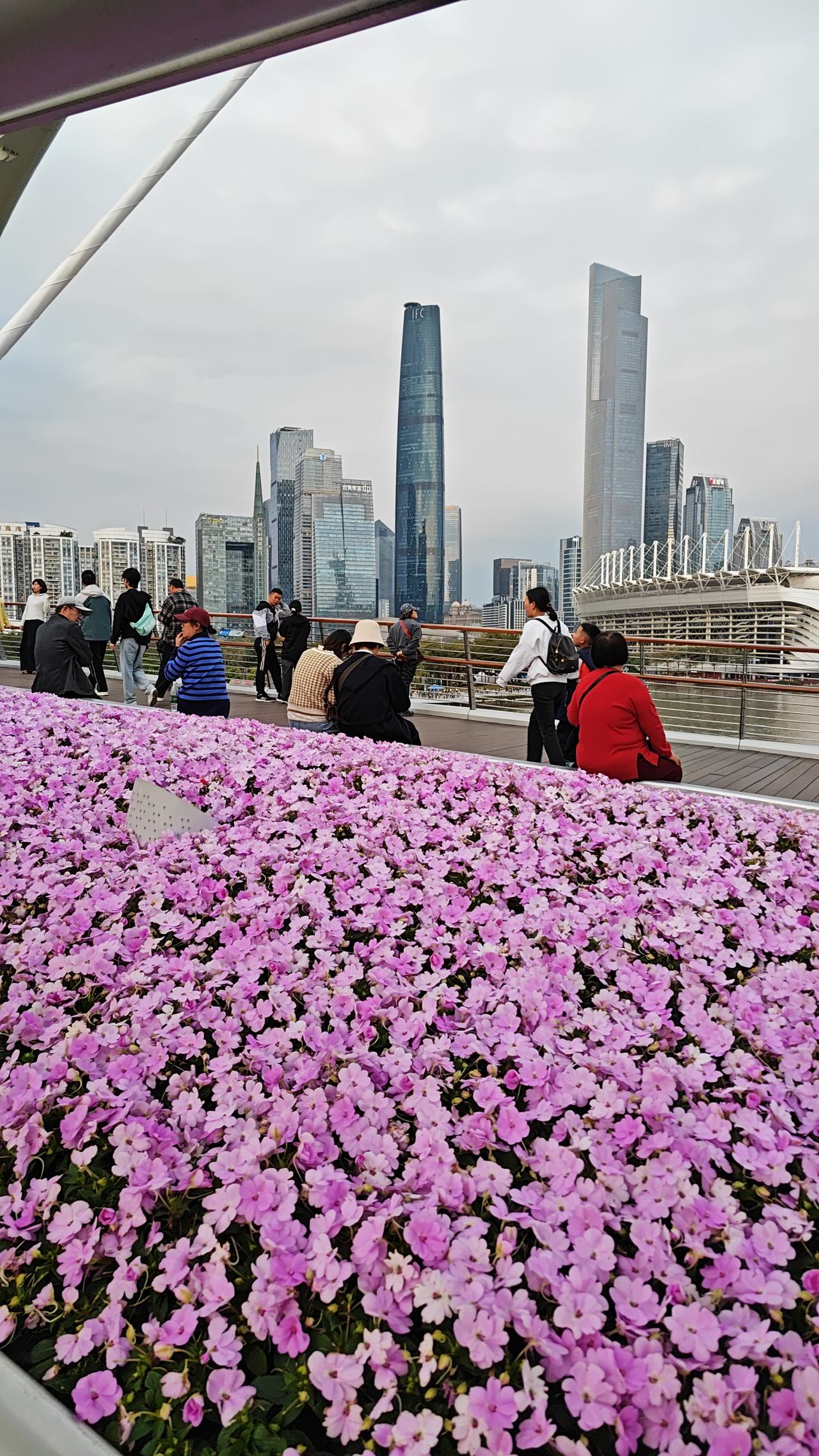 再见，广州。虽然离广州咫尺之遥，但每次仅仅是路过广州，还真没有停下脚步在这座城市