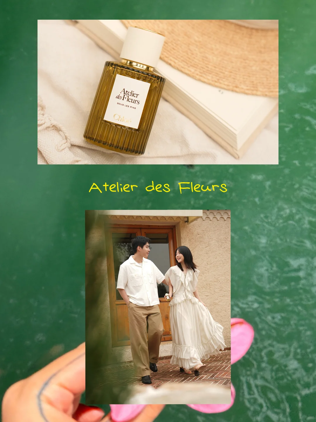 在松林之下 为这个世界停下来