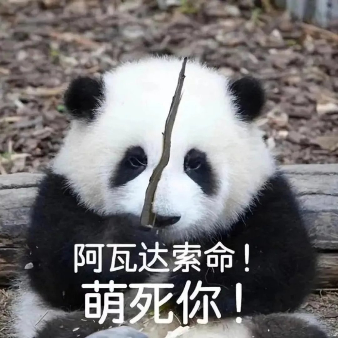 警犬在战友床上尿尿连续4周被通报 [doge]犯小错立大功，这不警犬届的男主角吗