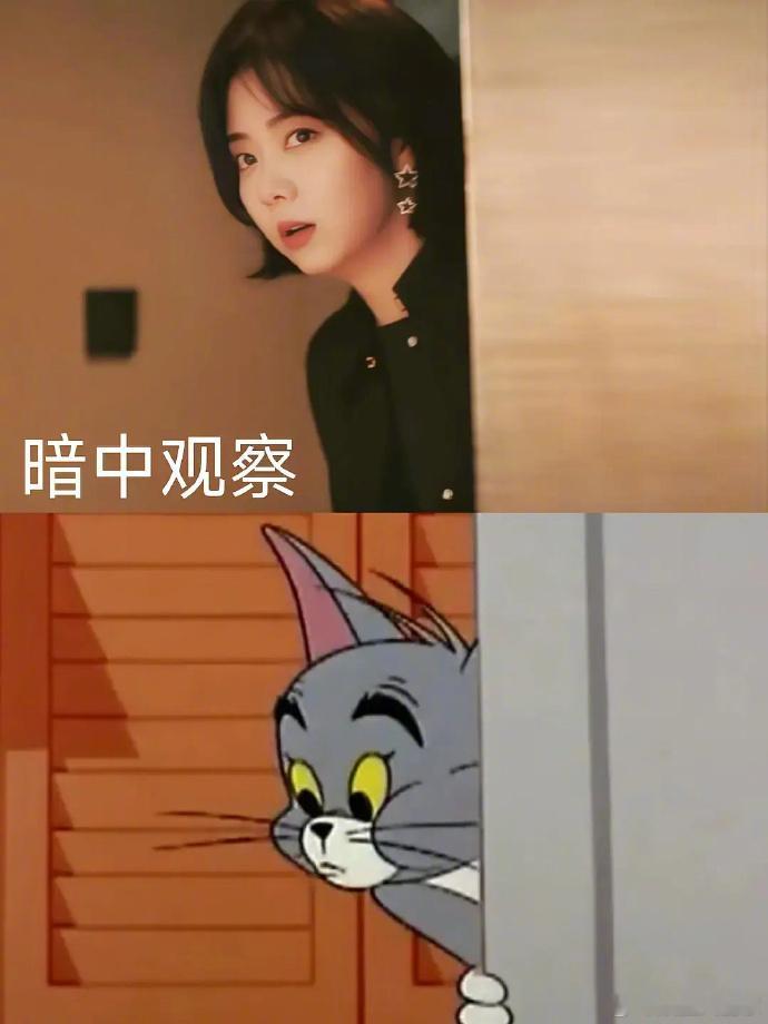 #谭松韵新剧偷感##谭松韵一口气炫了多少集猫和老鼠# 笑死我了哈哈哈哈哈哈！谭松