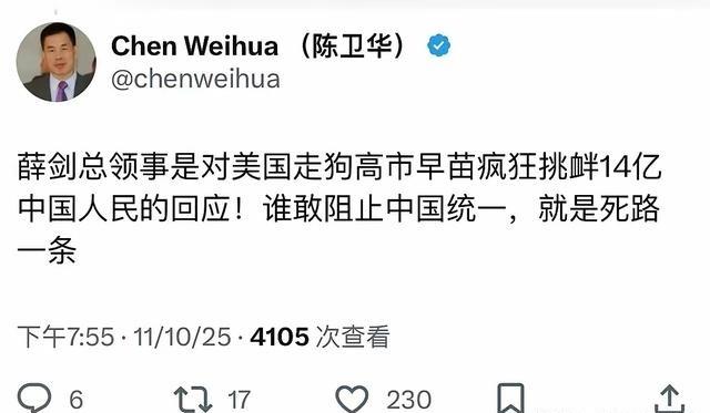 中国日报欧盟分社社长陈卫华，“薛剑总领事是对美国走狗高市早苗疯狂挑衅14亿中国人