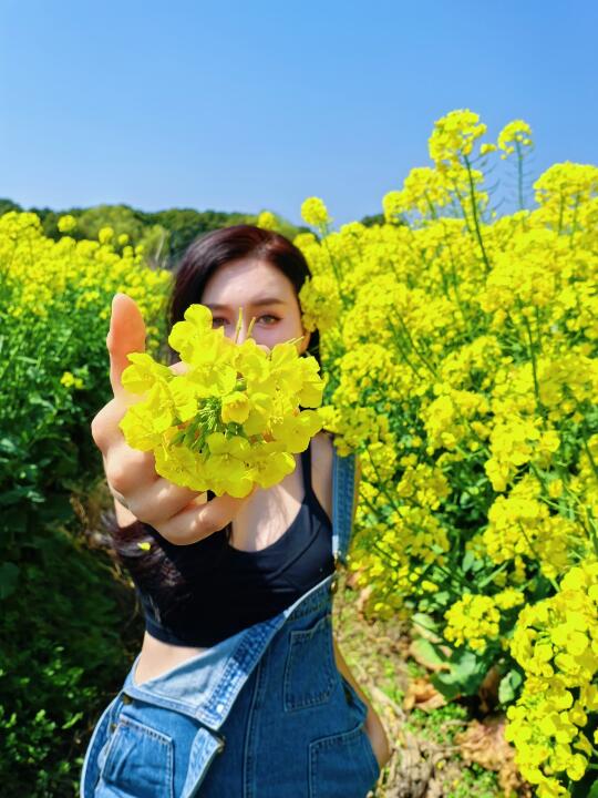 五彩纷呈的油菜花🌼