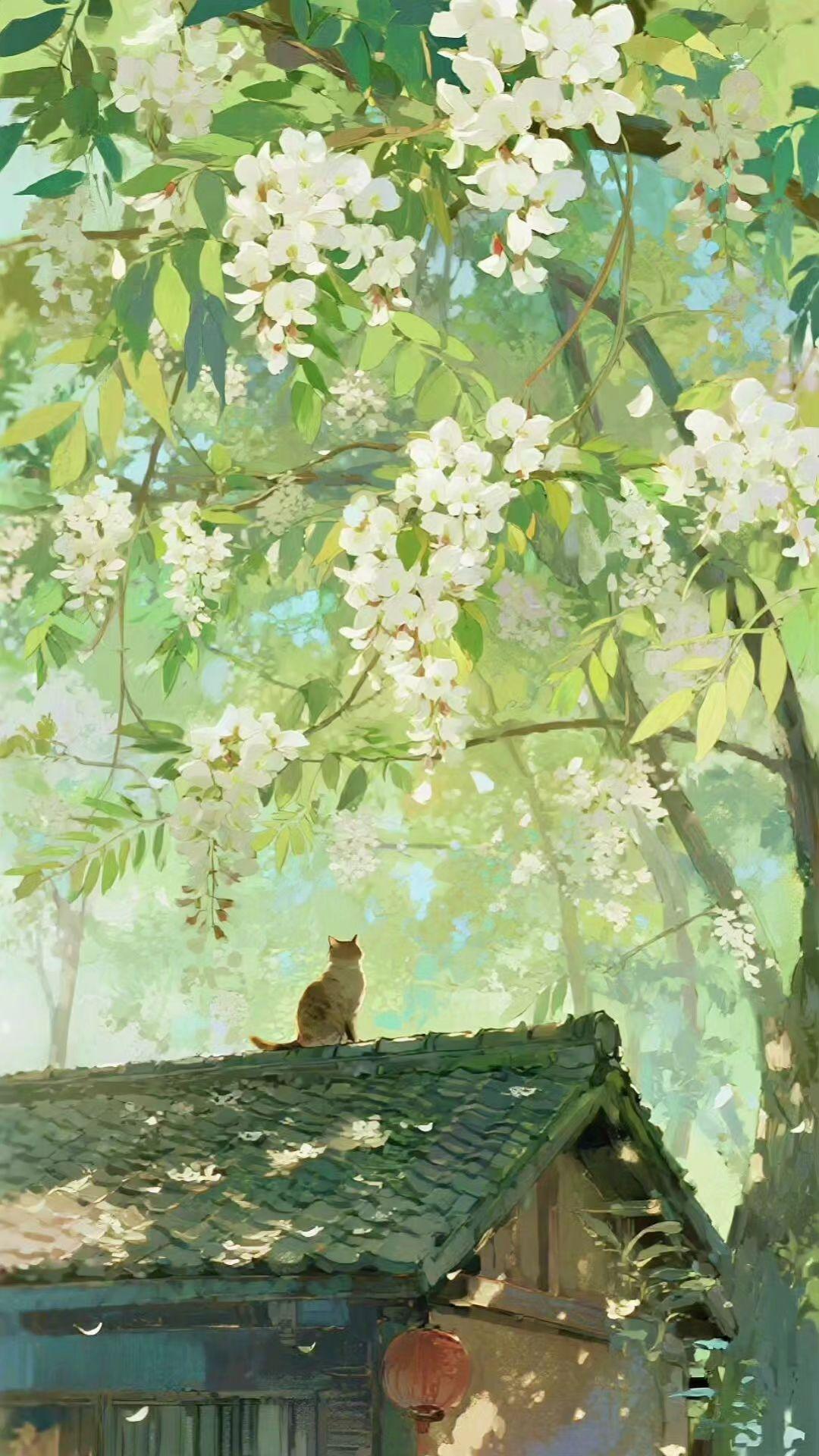 🌸檐角老猫枕着春光打盹，一树白樱簌簌落满青瓦。时光在花瓣里慢成琥珀✨