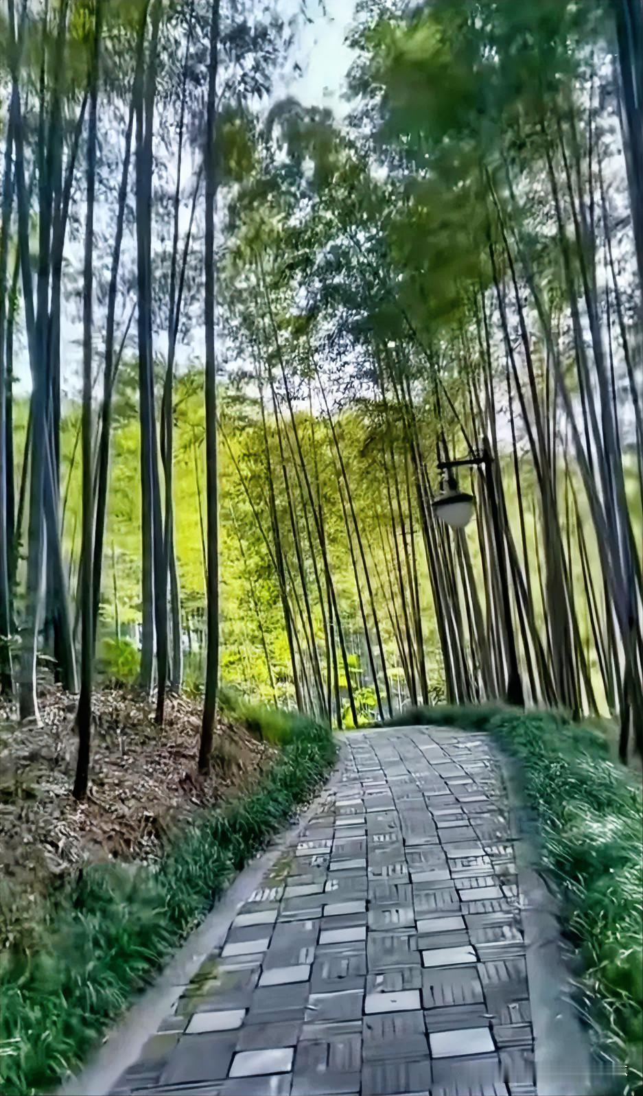下联：寂寂空山啼杜鹃
上联：有请雅士[玫瑰][玫瑰][玫瑰]