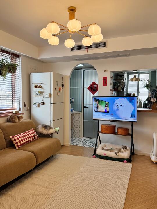 果然老房子住久了，副作用就来了