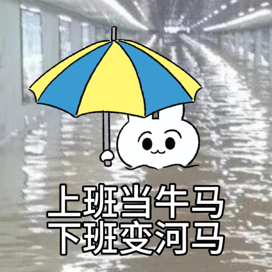 丰富一下你的表情包 