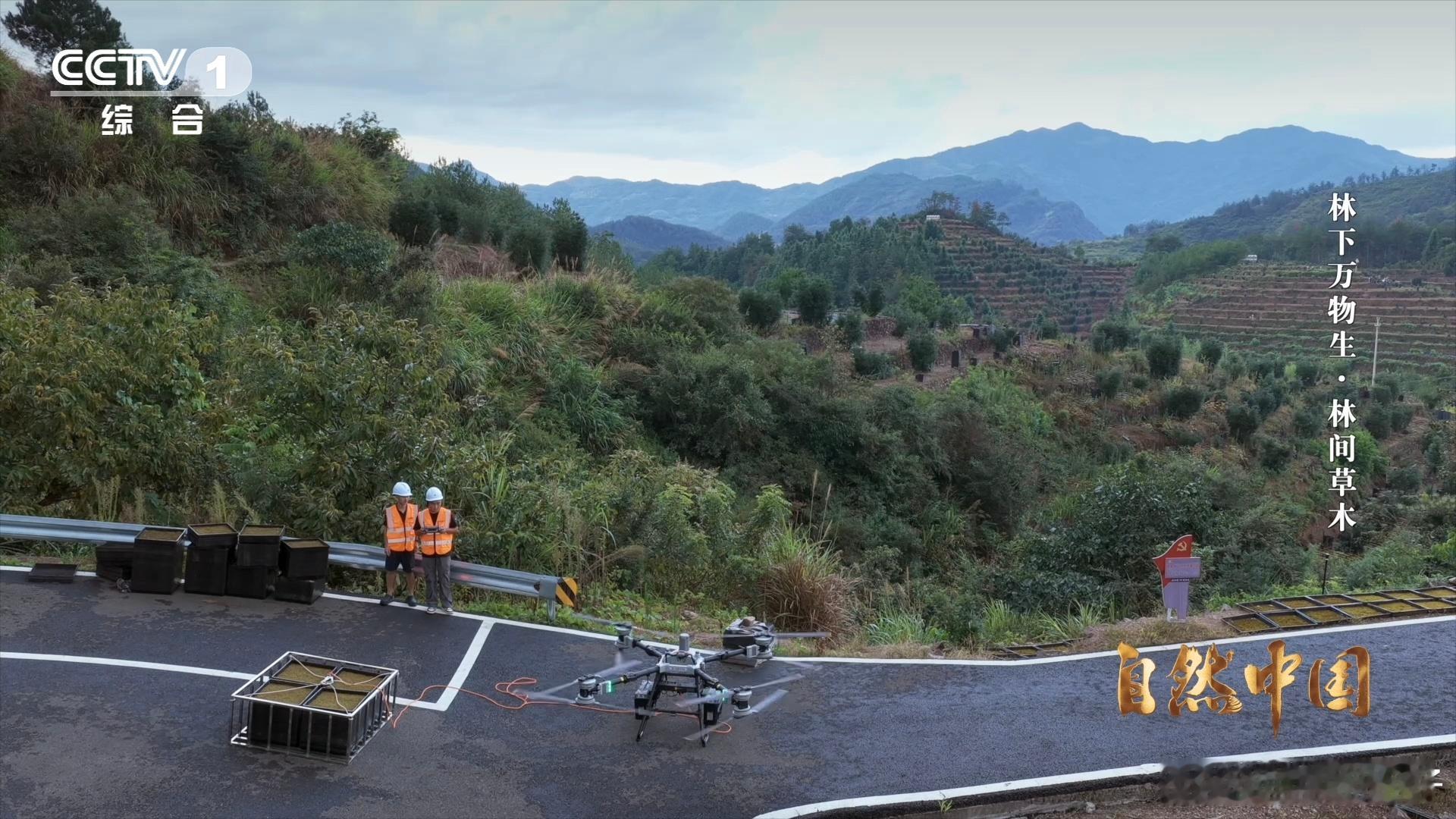 一架架无人机在中国农村运货 浙江丽水用无人机运苔藓幼苗太靠谱了，300斤的货物靠