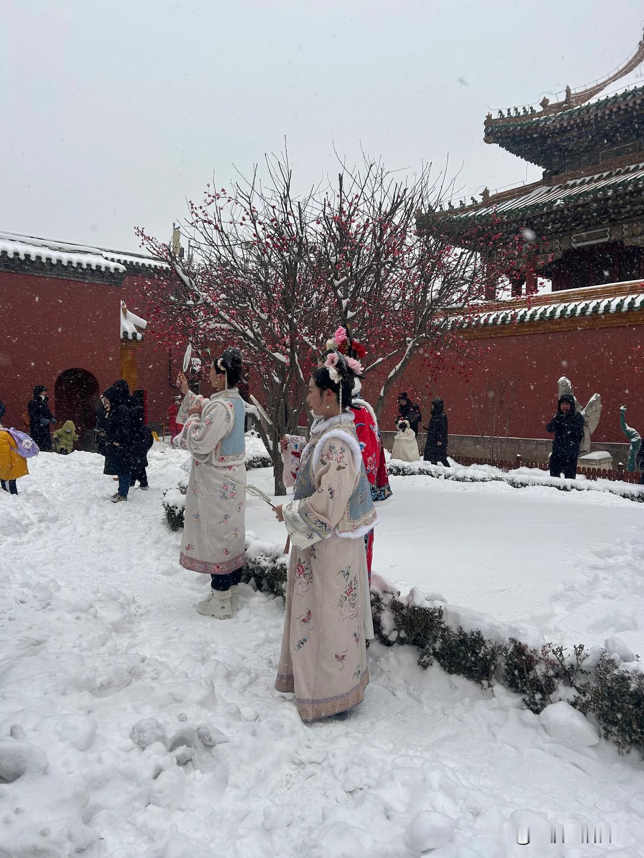 大雪天,逛故宫是什么体验?有点穿越的感觉