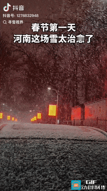 大年三十，老家又下雪了，一场接着一场根本没停过，以前在家里下雪是很平常的事，在上