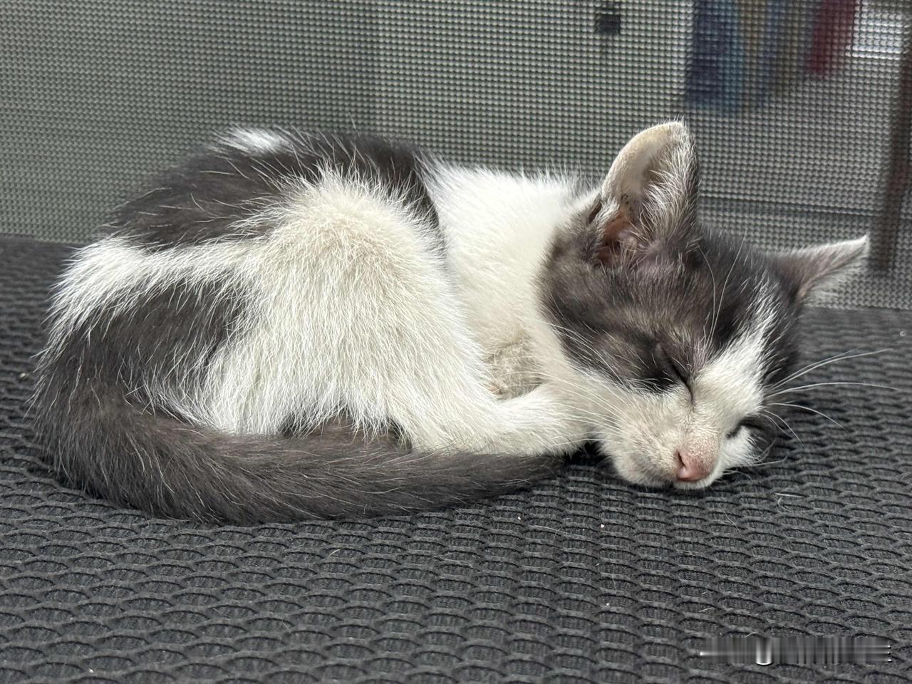 看到这么一句话：
战争是一群老头的政治游戏，可冲上去的却是一群年轻人。
战争是一