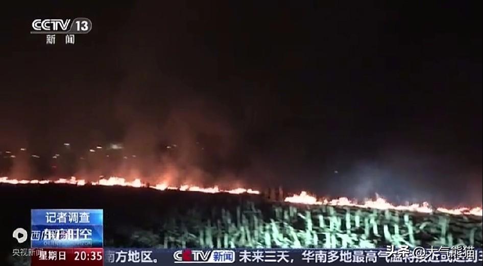 在焚烧秸秆问题上，农民和专家的想法确实不一致。
农民认为，焚烧能消灭病虫害，增加