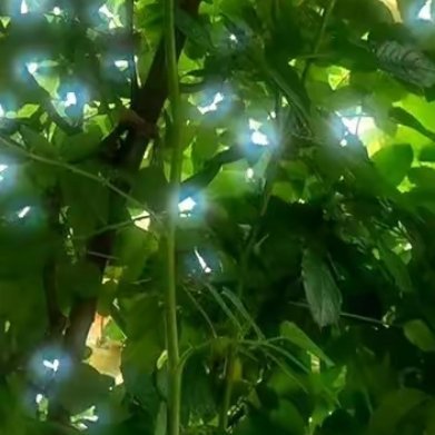 那些曾经落寞的，失意的，难过的，思念的……都随着浅秋的一缕晚风，消散在云烟深处。