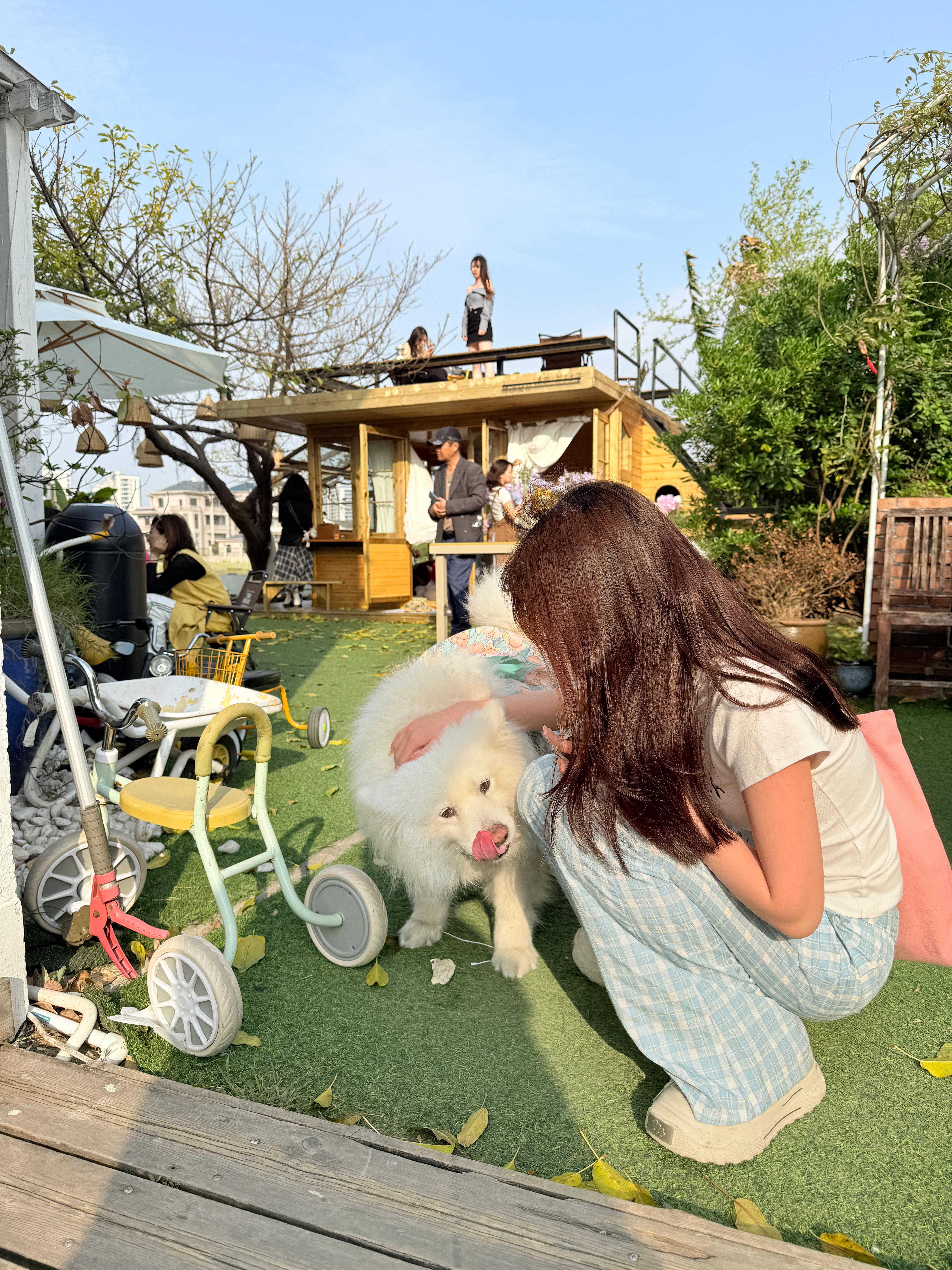蜜咖啡日 ​​​