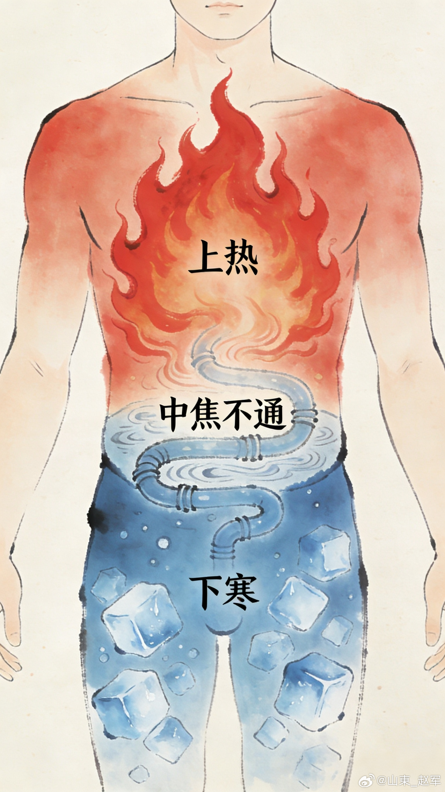 人人都知五脏六腑，却不懂三焦是养生总开关！不通真的会百病缠身友友们好！今日分享“