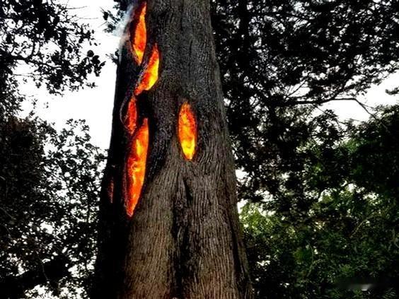 搞迷信，引发森林火灾，获刑赔钱5万元。高某信崇迷信，在外打工时，到工厂后山去祭拜