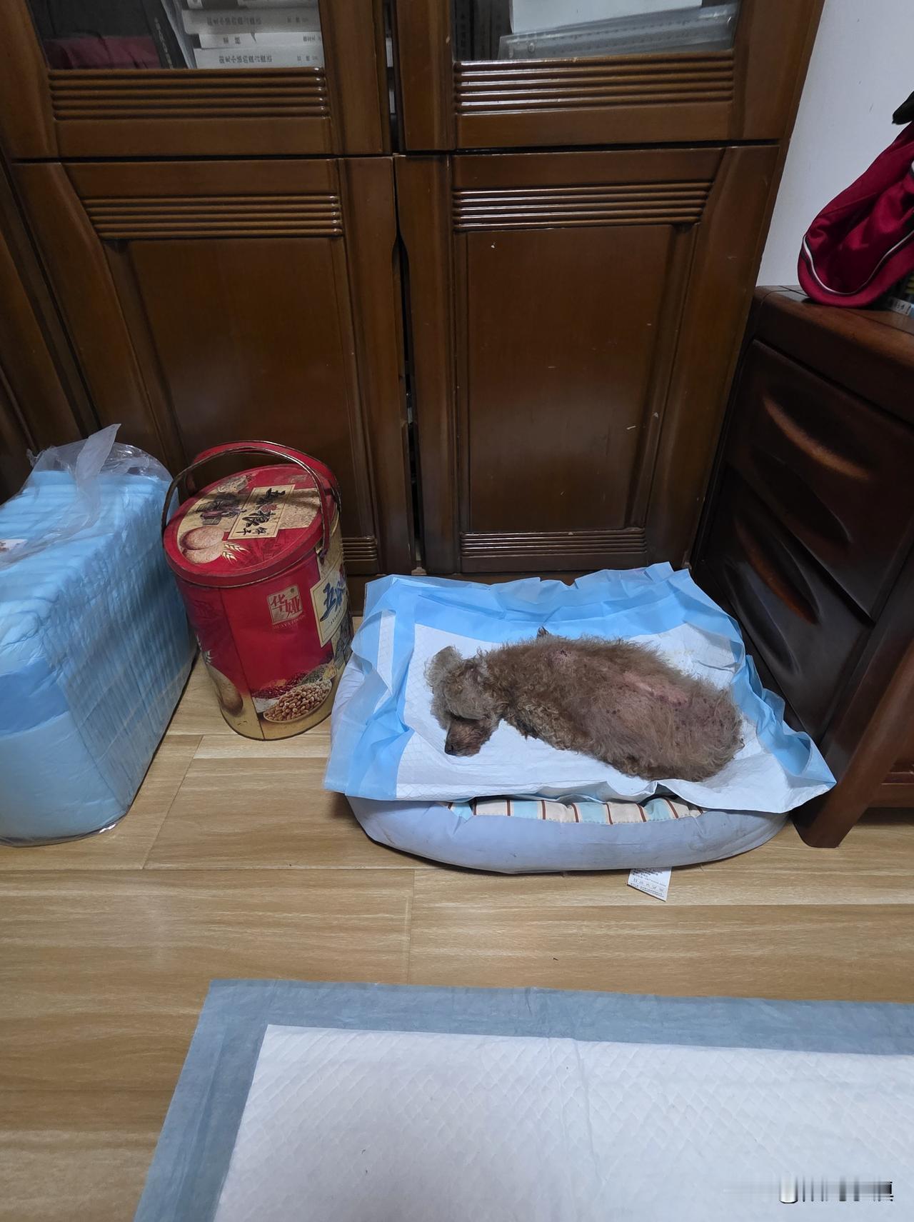 又睡到青岛的床上了，我给自己定了两条规矩……

下午五点钟进的家门，六点钟女儿女