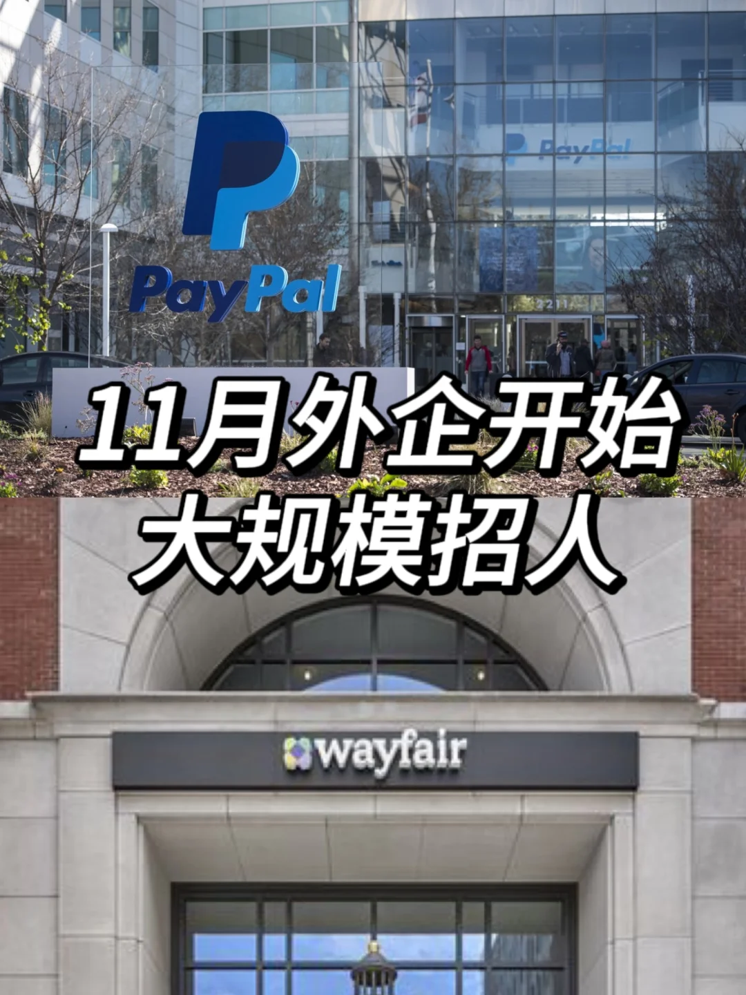 11月外企开始大规模招人了