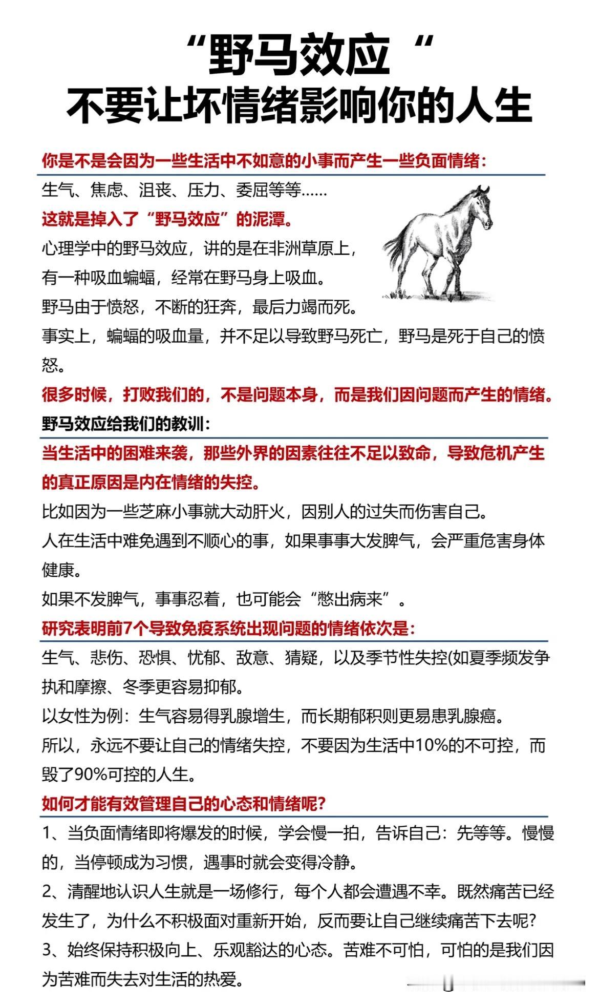 不要让坏情绪影响你的人生