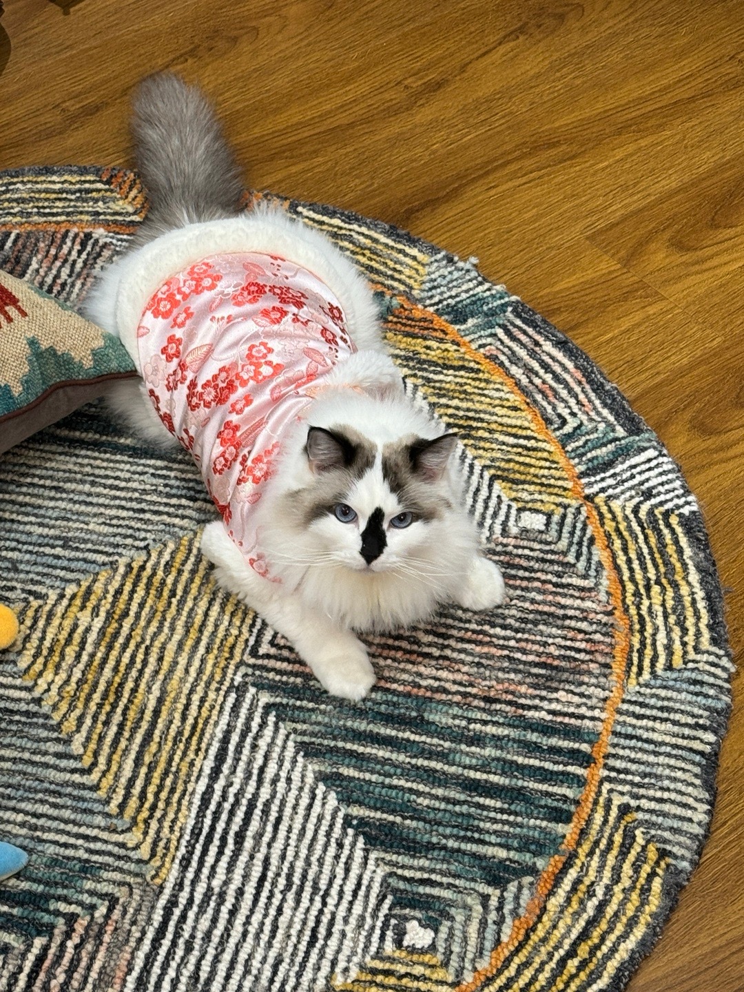 家有三宝 ​​​