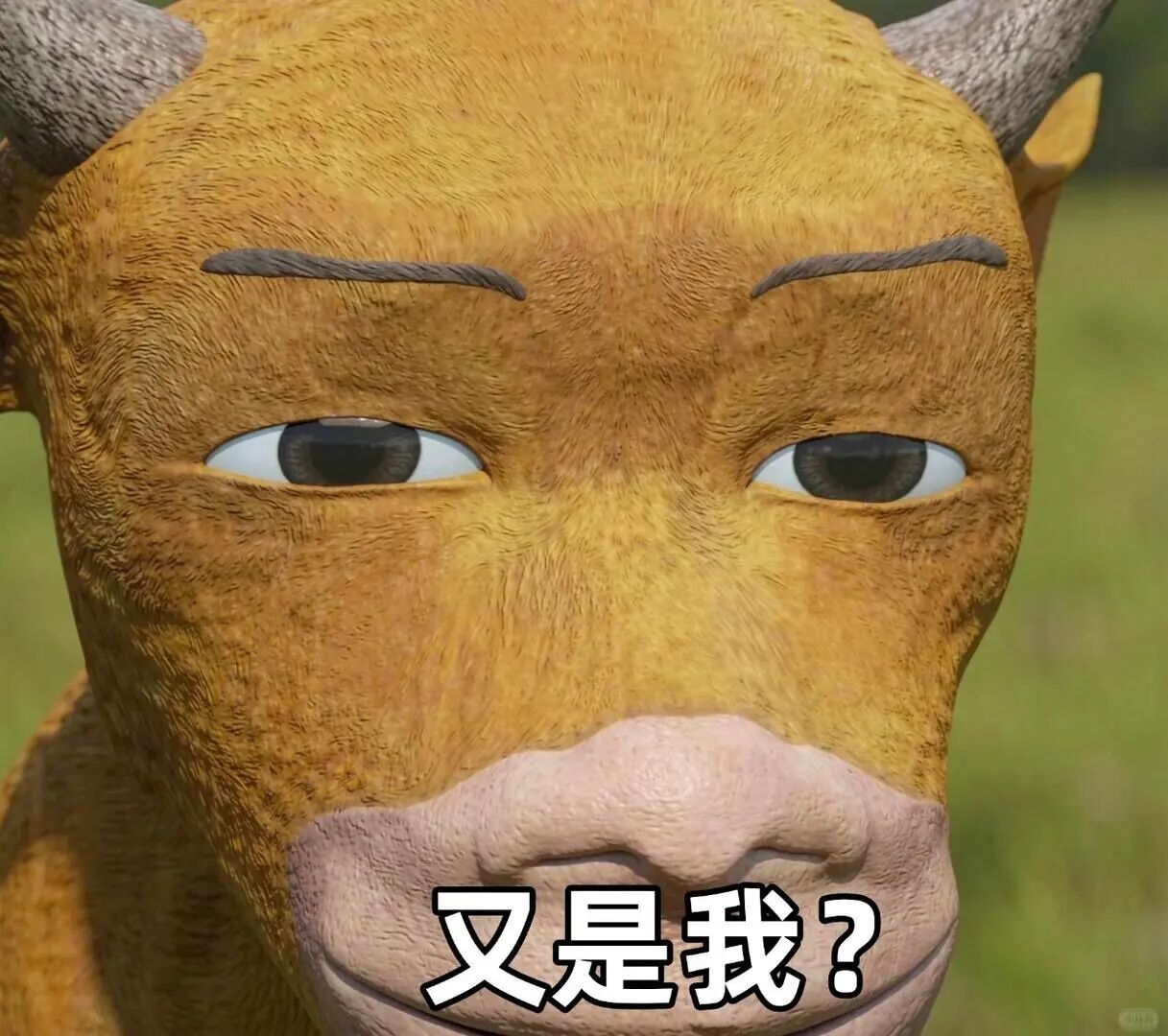 𝑺𝒉𝒂𝒓𝒆·表情包丨牛来猎奇表情包分享 