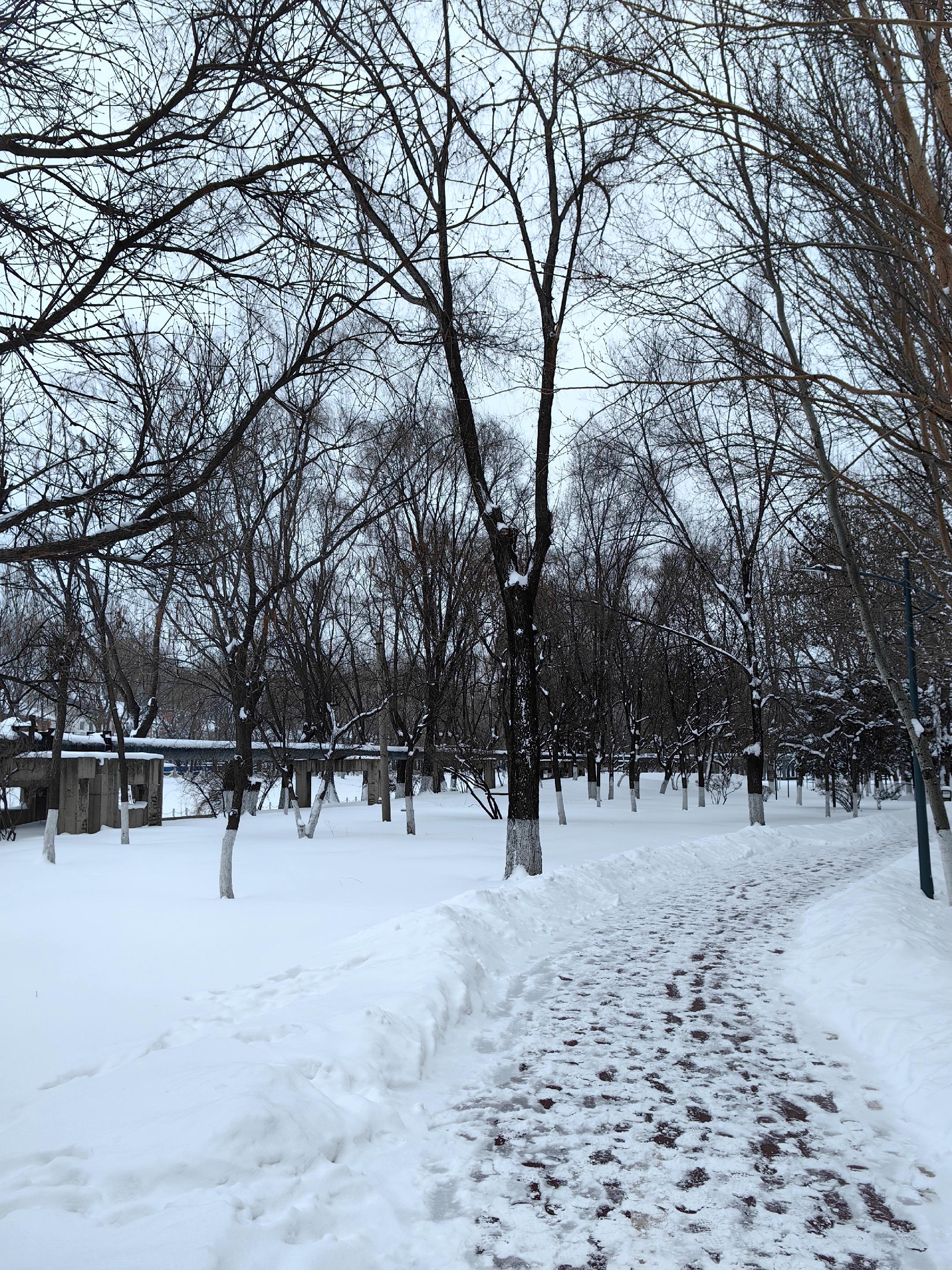 除夕雪景