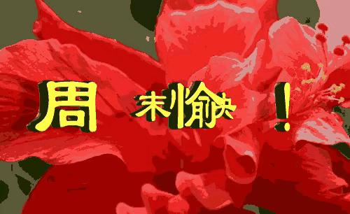 早安吉祥！欢迎大家积极来评论区分享看法，一起聊聊这有趣的乌塌菜，还有奖金等你拿哟