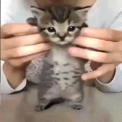 我闺女去伦敦拍啥了到底 