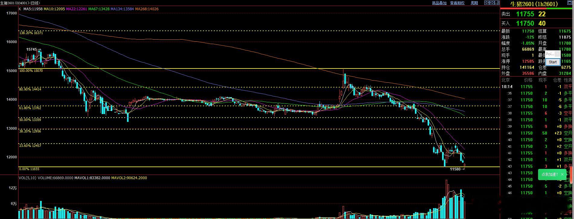 生猪早盘形成二次探底  可以关注！ ​​​