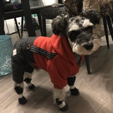 魏亭爱玩情感