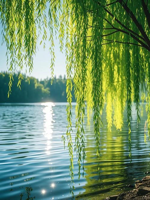湖清柳绿，悬倒影，这样的景色，美得像是从唐诗宋词里直接走出来的。

走近湖边，最
