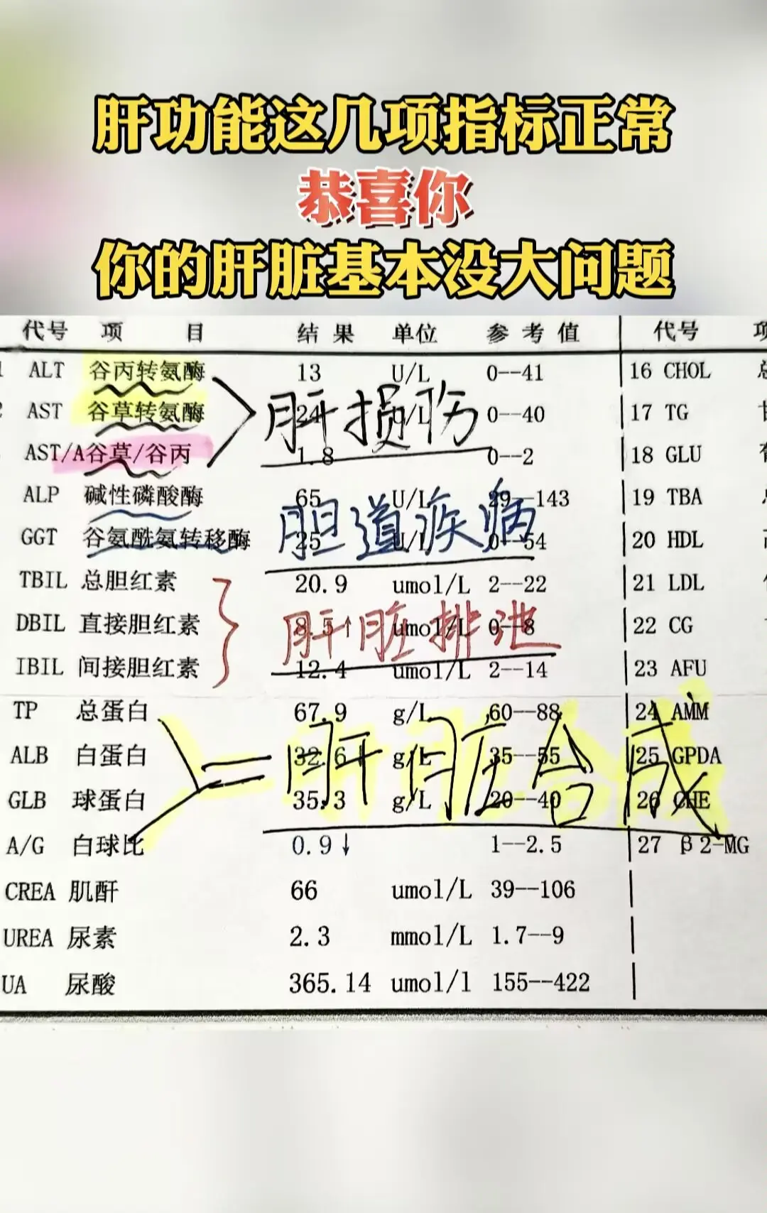 经常有患者问我，说肝功能到底怎么看，这些上上下下的“箭头”又是什么意思...